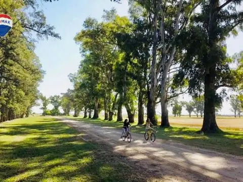 ruta 6 km 142