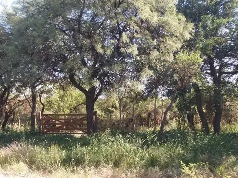 Terreno en Venta de 1100,0 m2