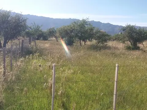 Cortaderas, loteo Agua de Pájaros, lotes de  m2