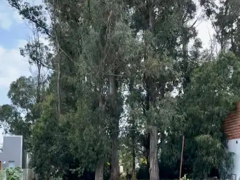 Terreno en Venta en Mar del Plata, Partido de General Pueyrredón