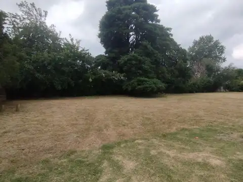 John F. Kennedy al 2100