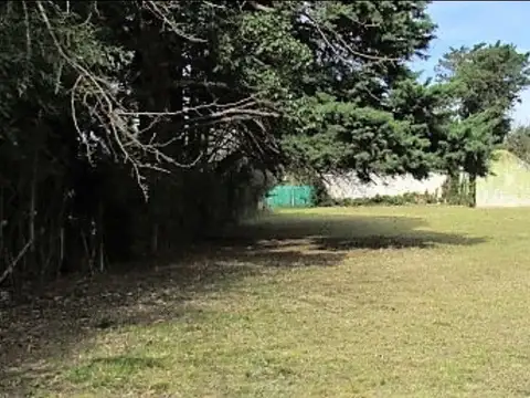 John F. Kennedy al 2100