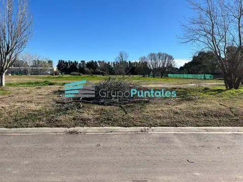Terreno en Venta de 1000,0 m2
