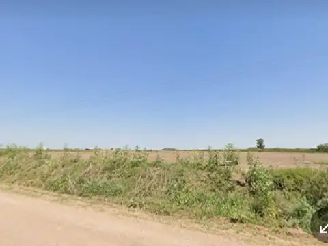 Camino