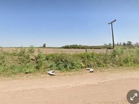 Camino