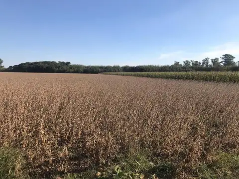 GRAN OPORTUNIDAD CAMPO en VENTA