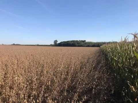 GRAN OPORTUNIDAD CAMPO en VENTA