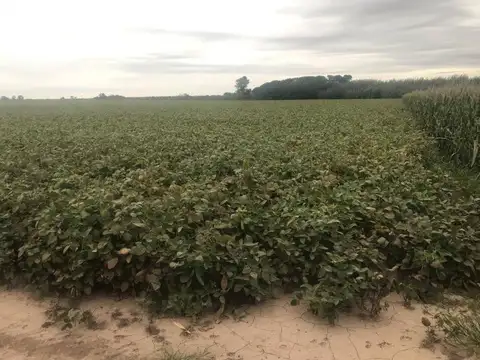 GRAN OPORTUNIDAD CAMPO en VENTA