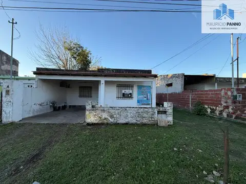 Pedro Gambaro 100