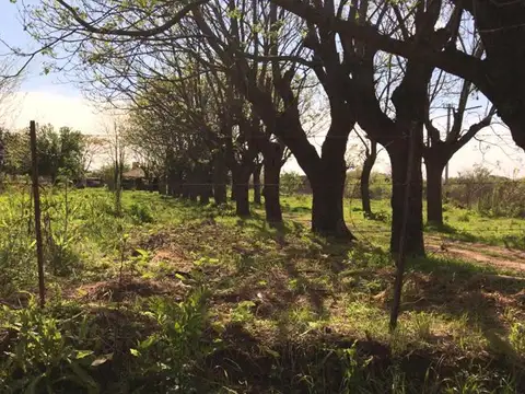 Gral Paz .Ingeniero Maschwitz