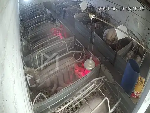 ruta 41 mercedes 100