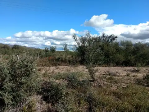 276 has Ganaderas en venta a 35km de Quines, San Luis