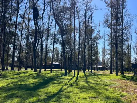 LOTE EN VENTA CAMPO TIMBO