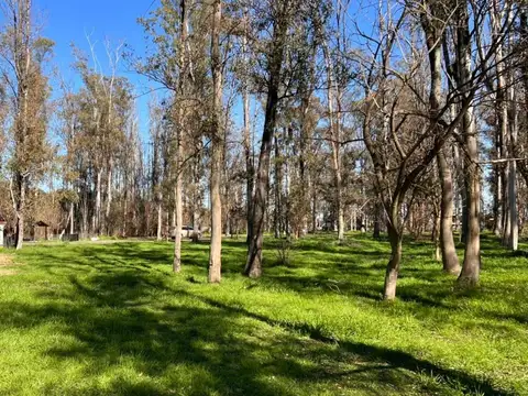 Terreno en Venta en Timbues Jose Maria, USD 20.000