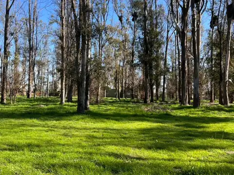 Terreno en Venta en Timbues Jose Maria, USD 20.000