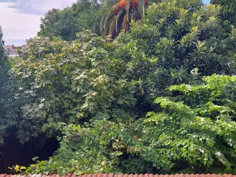 Terreno en Venta, FOT 18