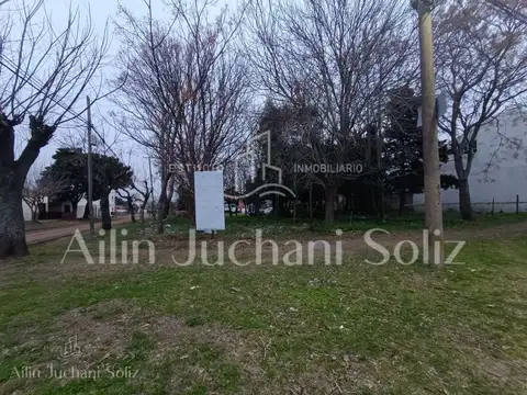 Av. Pueyrredon  al 600