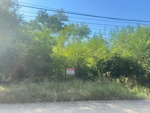 FRAY LUIS BELTRAN 300