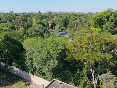 FRAY LUIS BELTRAN 300