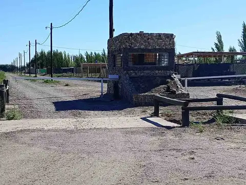 Los Pinos 10300