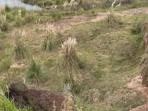 Cantera en venta en San Andrés de Giles