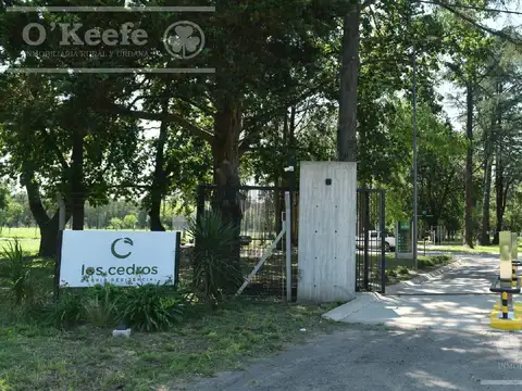 Lote en Venta, El Pato, Barrio residencial Los Cedros