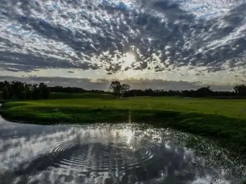 Everlinks Golf