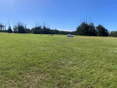 Las Garzas
