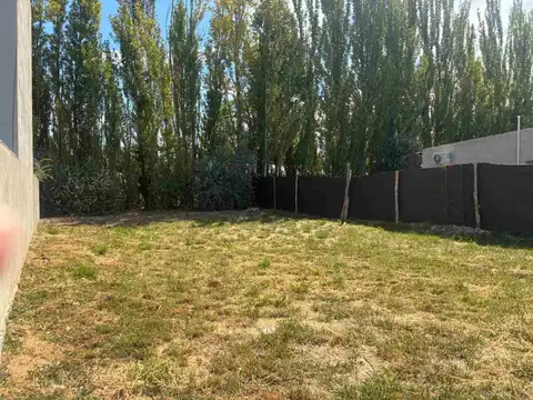 Tuduri