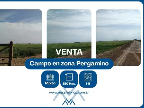 Campo Mixto 150 Has. en zona Pergamino, Buenos Aires