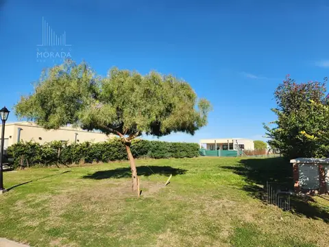 PILAR DEL ESTE SANTA ELENA