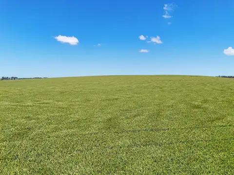 General Alvarado - 50.7 has- Agricola excelente