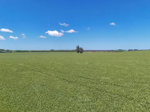 General Alvarado 50.7