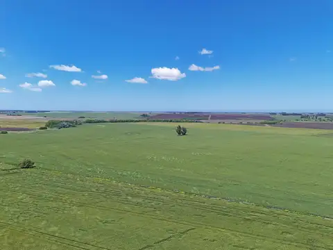 General Alvarado - 50.7 has- Agricola excelente