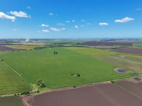 General Alvarado 50.7