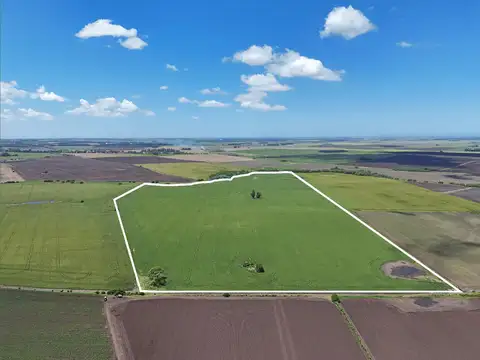 General Alvarado - 50.7 has- Agricola excelente