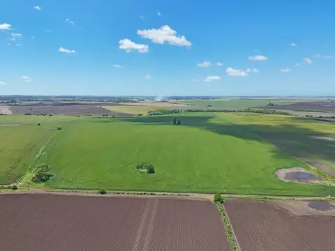 General Alvarado - 50.7 has- Agricola excelente