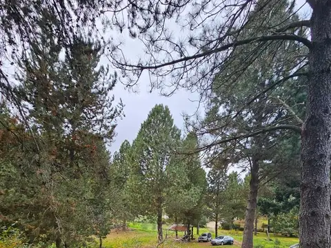 Terreno Lote  en Venta en Ruca Hué, San Martin de los Andes, Patagonia
