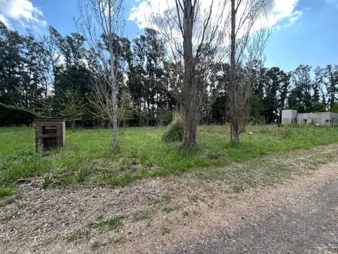 Terreno en Venta 37  mts Frente