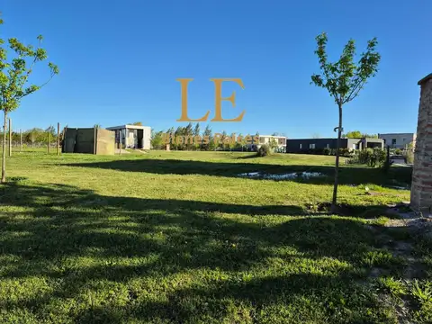 El Naudir