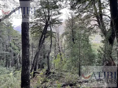 Terreno en Venta en Villa Mascardi, USD 220.000