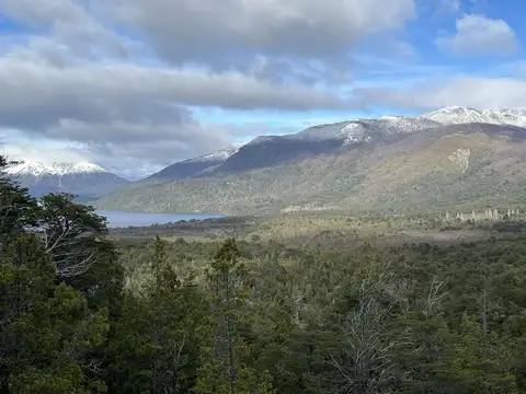 Exclusivo Terreno de 10 ha con Bosque Nativo en la Divisoria de Aguas