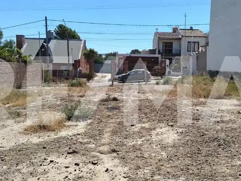 Caleta de los Loros 600