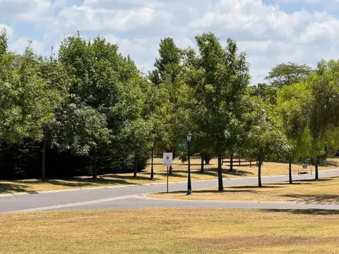 Avenida Parque