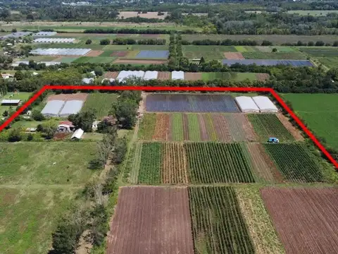 Campo 8.43ha, Inversion Escobar