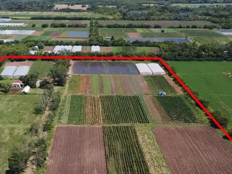 San Lorenzo y Gral Paz 4000