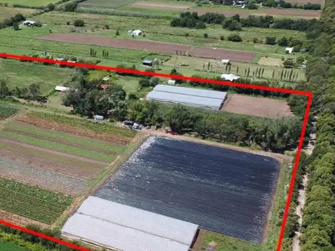 San Lorenzo y Gral Paz 4000