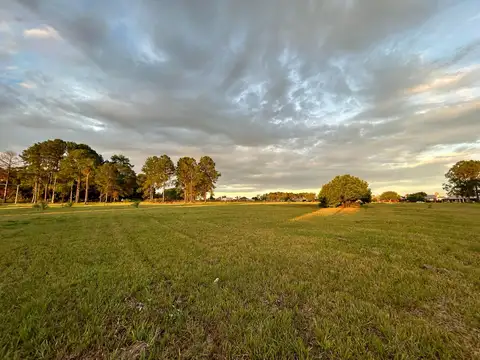 VENTA | TERRENO DE 2 HECTÁREAS SOBRE AV. J. M. FANGIO – POSADAS