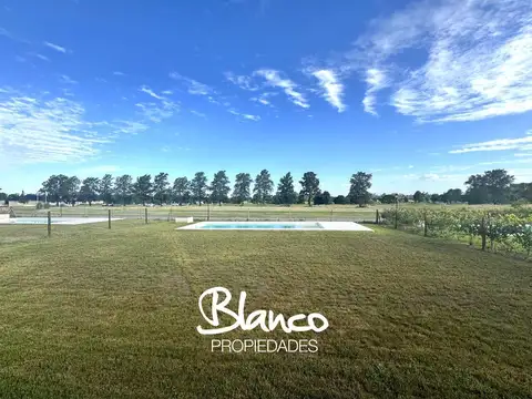 Pilar Golf 1600