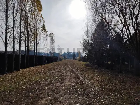 Terreno en Venta 61  mts Fondo